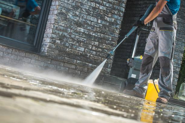 Best Soft Washing  in Union City, IN