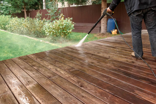 Best Animal Enclosure Cleaning  in Union City, IN